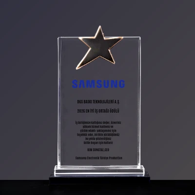 2026 Samsung Best Partner Award