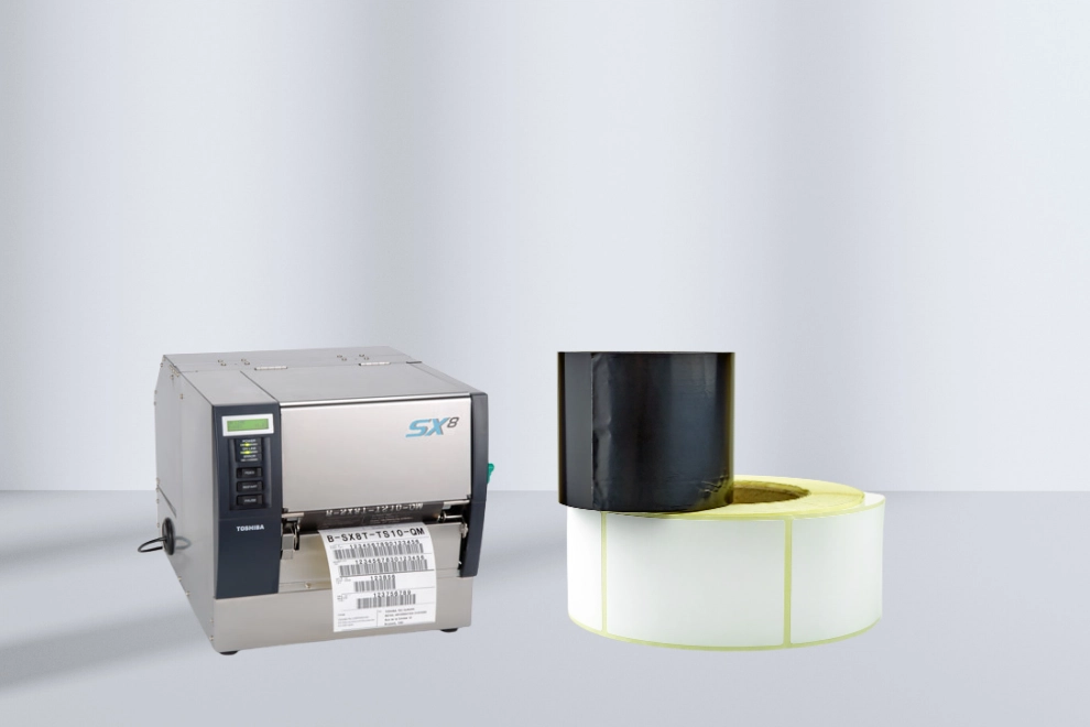 Ribbon Models and Their Differences